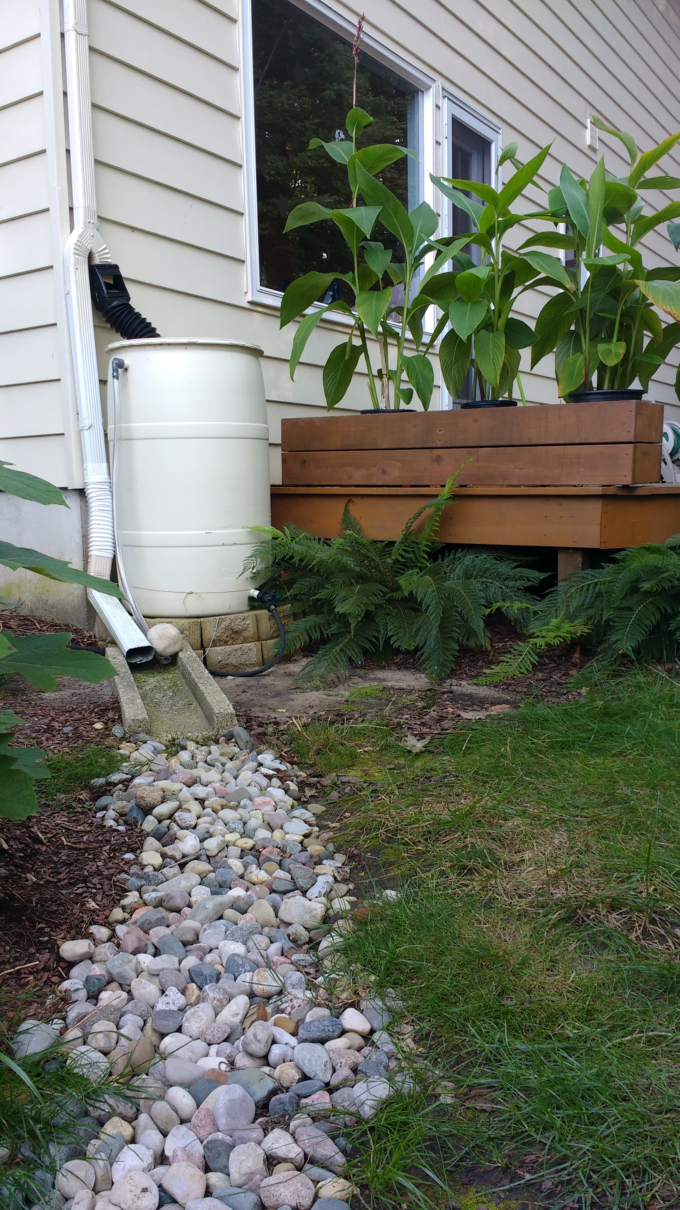 overview photo of author's rain barrel installation, select to view full-size